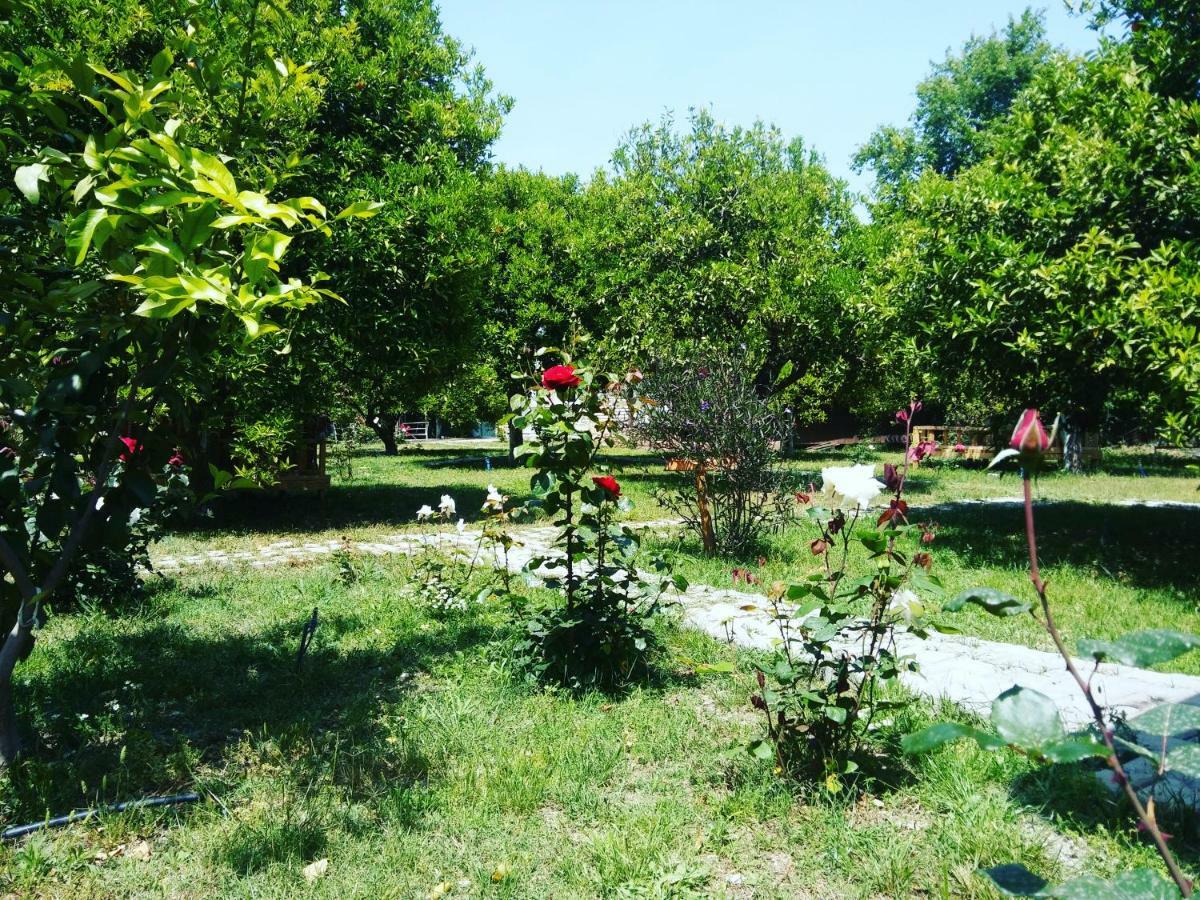 Sakli Bahce Pension Çıralı Esterno foto
