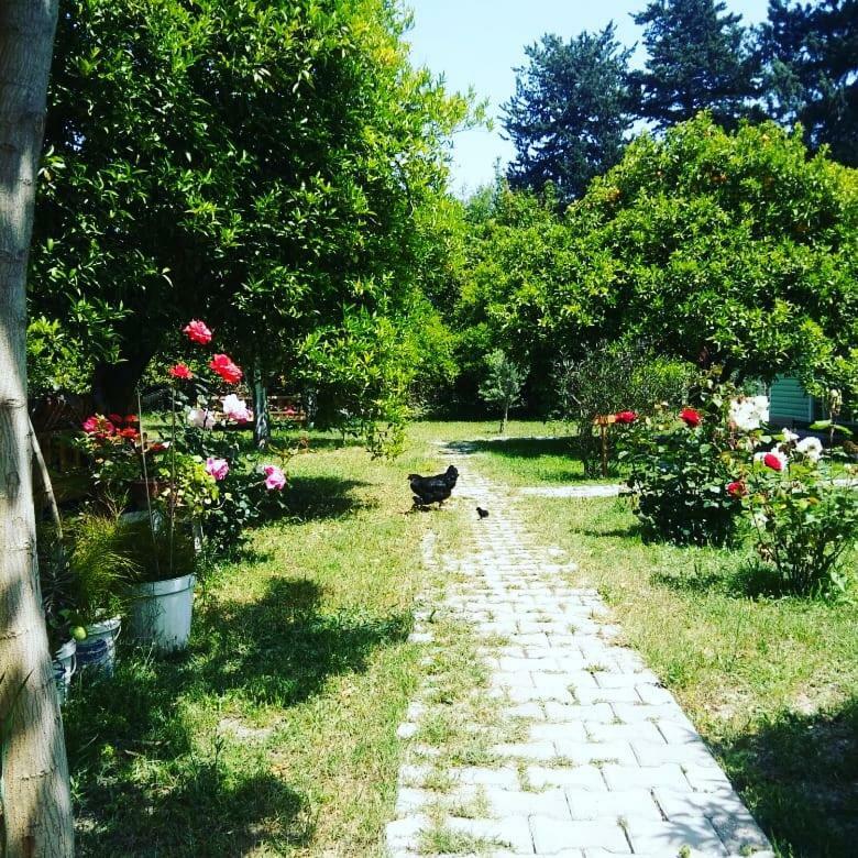Sakli Bahce Pension Çıralı Esterno foto